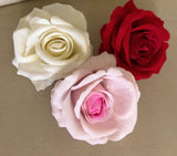 Island Flower clips