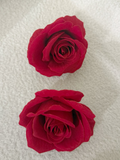 Island Flower clips