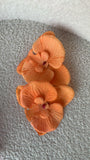 Island Flower clips